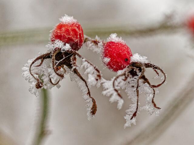 Foto: Eigenes Bild TB