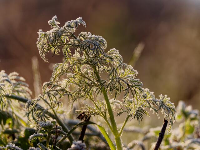 Foto: Eigenes Bild TB