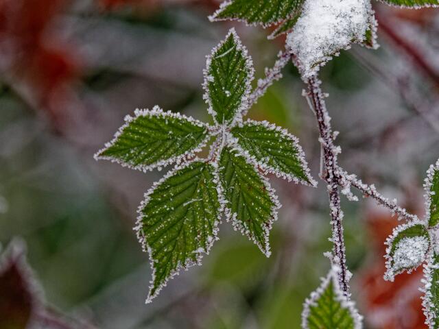 Foto: Eigenes Bild TB