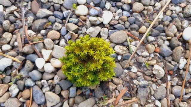 so schöön | Foto: Ralf Röser