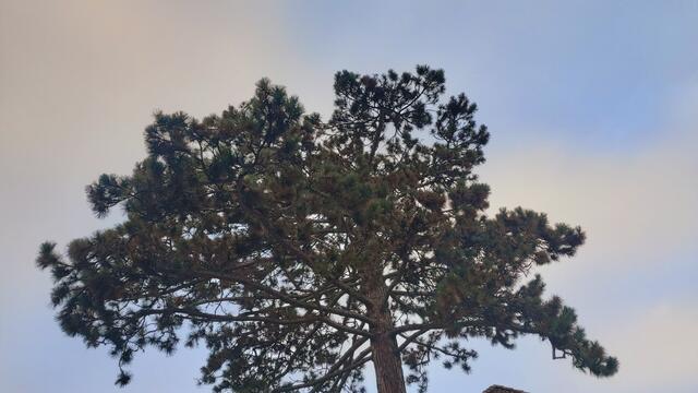 oben | Foto: Ralf Röser