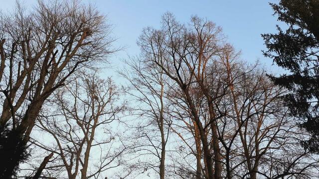 oben | Foto: Ralf Röser