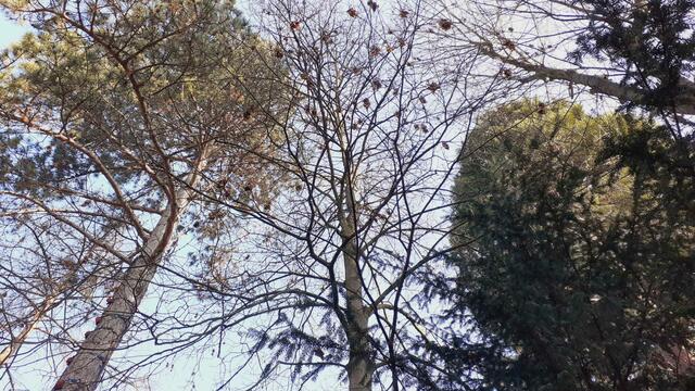 oben | Foto: Ralf Röser