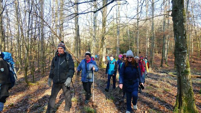 Auf dem Föhrenberg. | Foto: Isolde Reitz