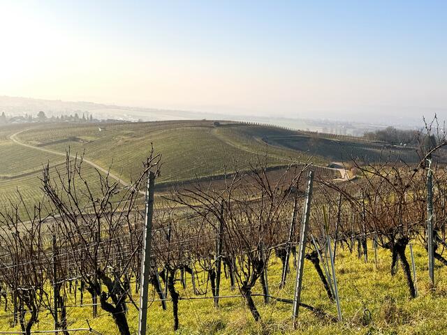 Foto: Heide Böllinger aus Bad Friedrichshall