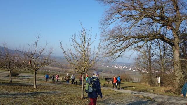 Rastplatz beim Föhrenberg mit Blick nach Lehrensteinsfeld. | Foto: Isolde Reitz