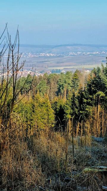 ... ein herrlicher Blick ins Sulmtal und den Löwensteiner Bergen wird frei. | Foto: Isolde Reitz