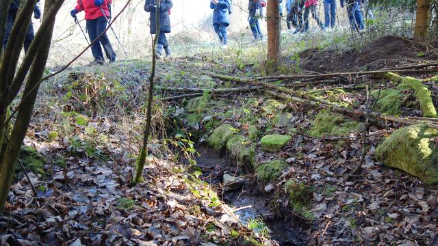 Ein kleines Rinnsal - die entsprungene Schozach unterhalb von Vorhof. | Foto: Isolde Reitz