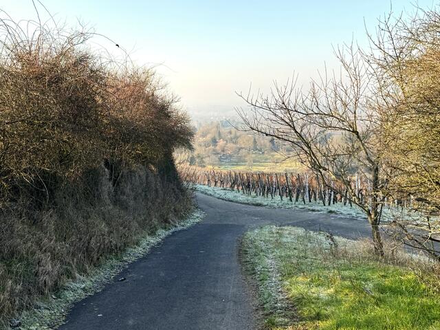 Foto: Heide Böllinger aus Bad Friedrichshall