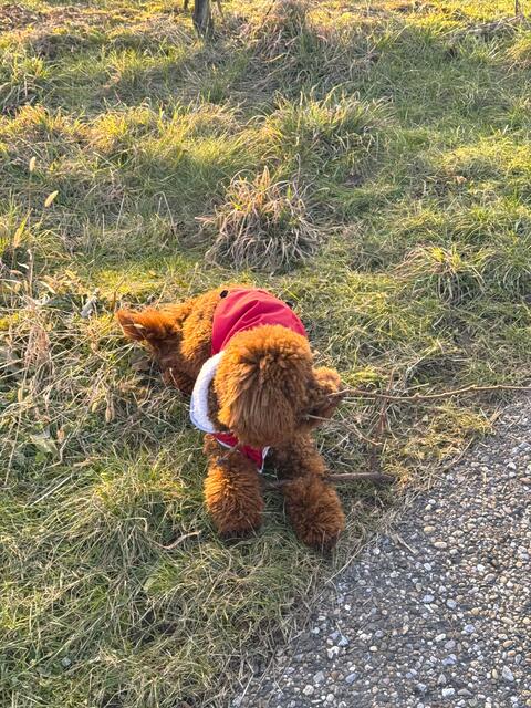 Foto: Heide Böllinger aus Bad Friedrichshall