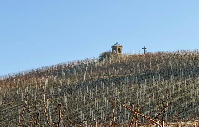 Foto: Heide Böllinger aus Bad Friedrichshall