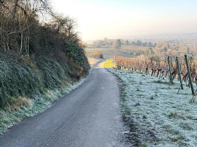 Foto: Heide Böllinger aus Bad Friedrichshall
