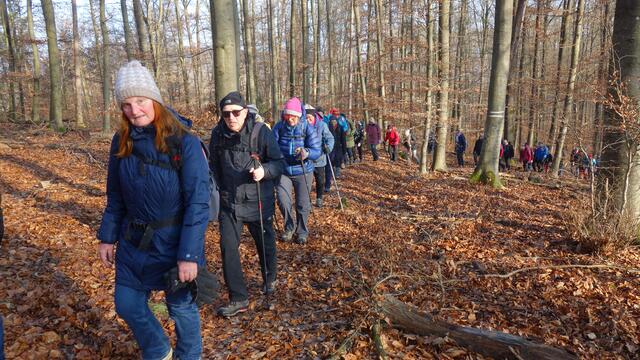 Beim Anstieg auf dem 324m hohen Hagelsberg wird es jedem warm. | Foto: Isolde Reitz