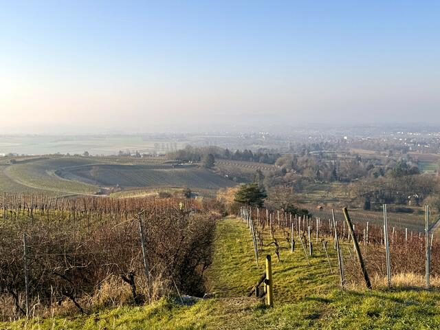 Foto: Heide Böllinger aus Bad Friedrichshall