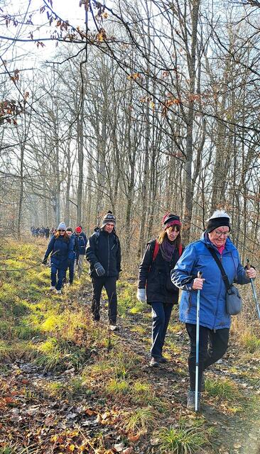 Auf verschlungenen Walpfaden Richtung Heilbronner Weg. | Foto: Isolde Reitz