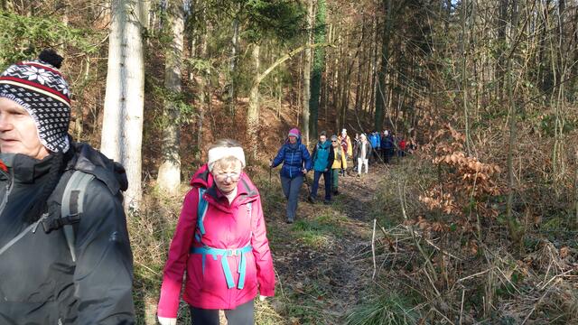 Auf Laubbedeckten, weichen Waldböden geht es durch den Grafenwald. | Foto: Isolde Reitz