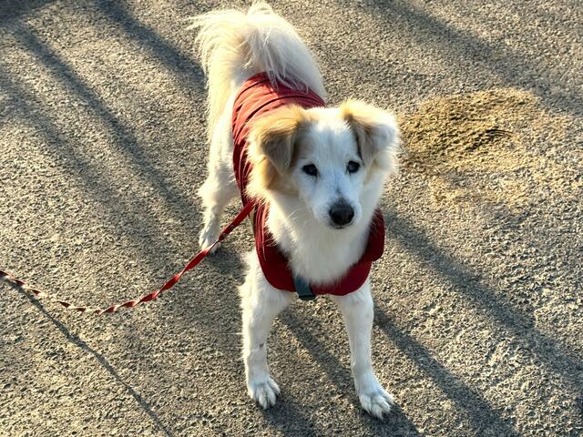 Foto: Heide Böllinger aus Bad Friedrichshall