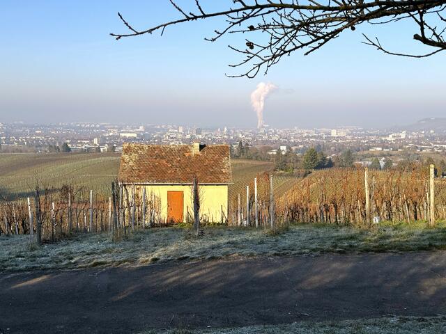 Foto: Heide Böllinger aus Bad Friedrichshall