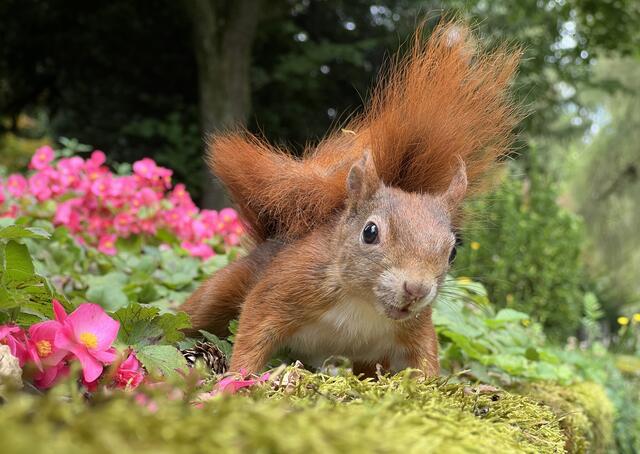 Zu nah dran...:-) Neugierig aber im Fluchtmodus! | Foto: Moni Bordt