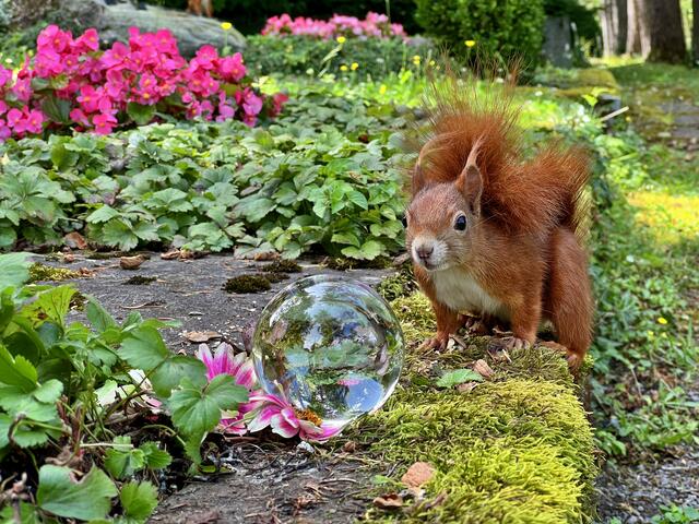 Jetzt könnte es klappen.... | Foto: Moni Bordt
