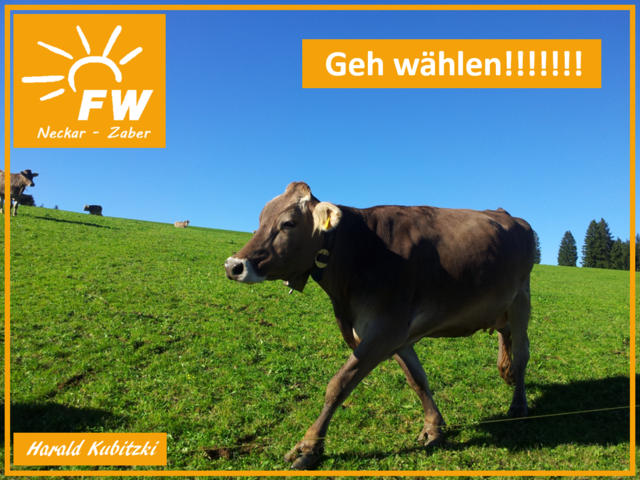 Geh wählen | Foto: Harald Kubitzki