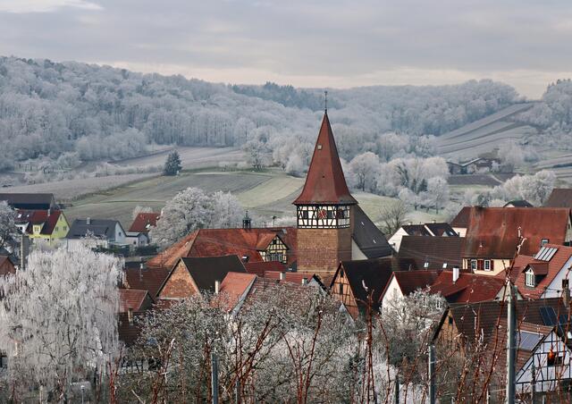 vereiste Landschaft | Foto: Daniela Harrer