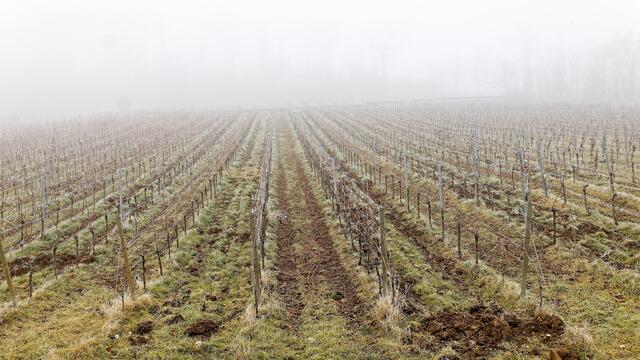 Foto: WKY