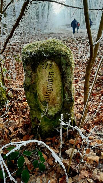 durch die Wolfsgruben | Foto: WandernGabyErich