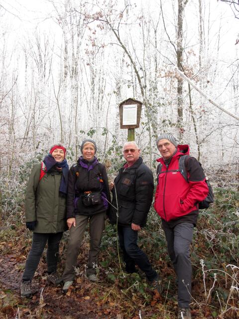 Gruppenbild bei den Feuchtgebieten oberhalb vom Steinbruch | Foto: WandernGabyErich