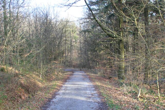 Rund um den Einkorn | Foto: Ralf Röser