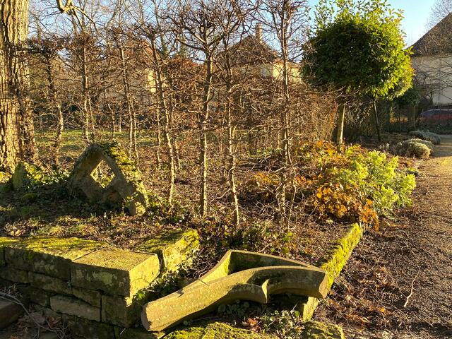 Foto: Heide Böllinger aus Bad Friedrichshall