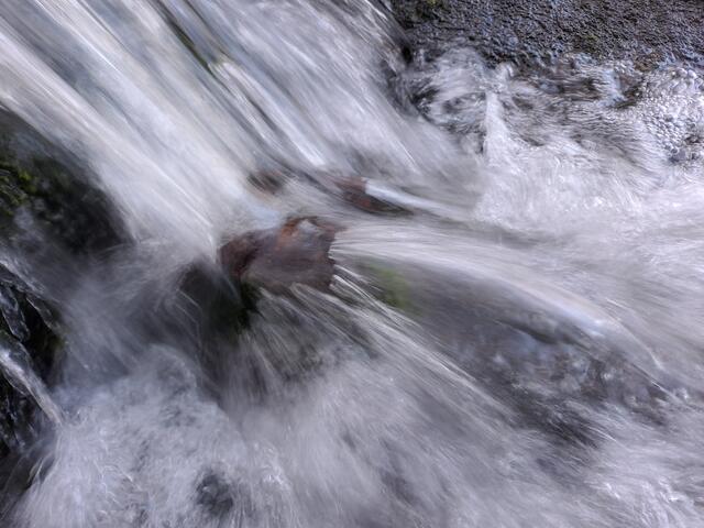 Das Hesseltbächle führt Dank ergiebiger Niederschläge ausreichend Wasser und formt die Klinge weiter aus. | Foto: Andreas Odey 