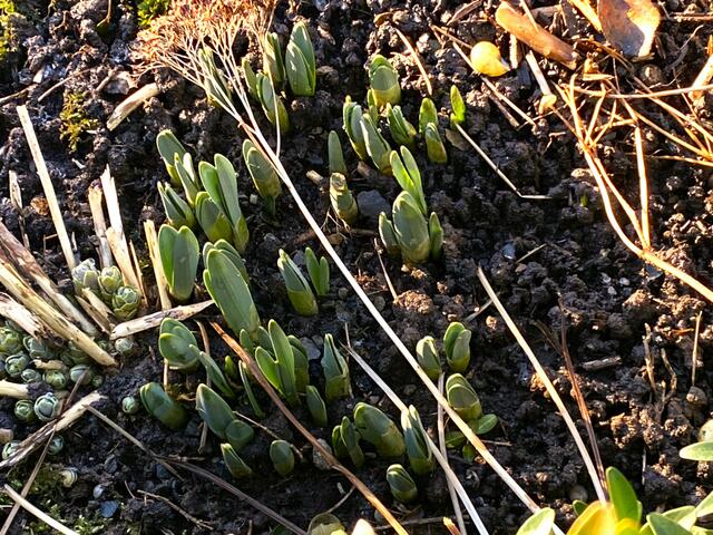 Foto: Heide Böllinger aus Bad Friedrichshall