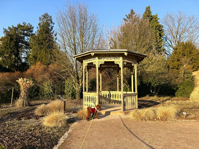 Foto: Heide Böllinger aus Bad Friedrichshall