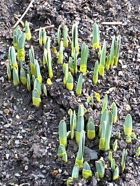 Foto: Heide Böllinger aus Bad Friedrichshall