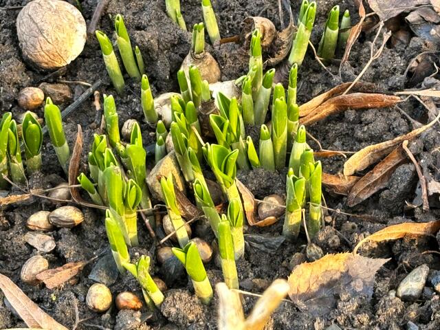 Foto: Heide Böllinger aus Bad Friedrichshall