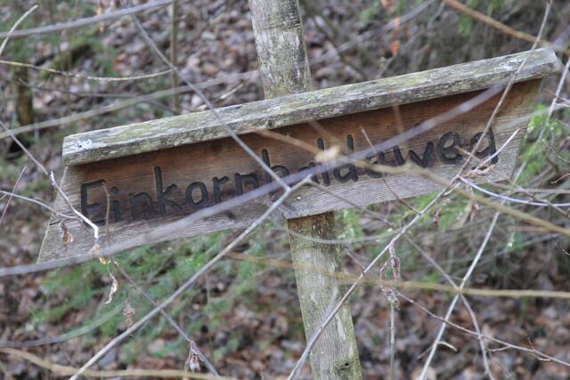 Rund um den Einkorn | Foto: Ralf Röser