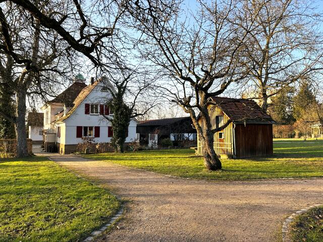 Foto: Heide Böllinger aus Bad Friedrichshall