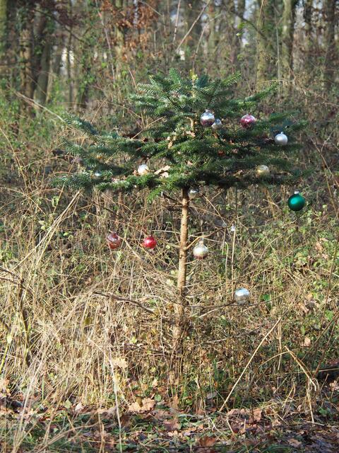 Foto: Steffen Widenmeyer