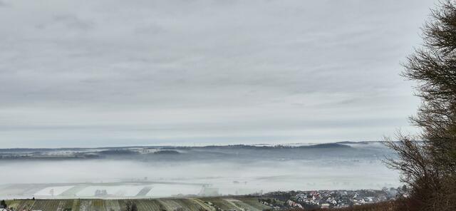 Foto: S. Gress