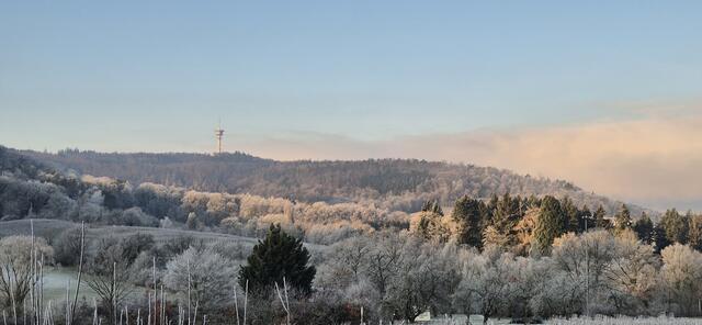Blick auf den Funkturm | Foto: S. Gress