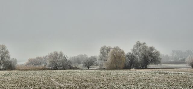 Foto: S. Gress