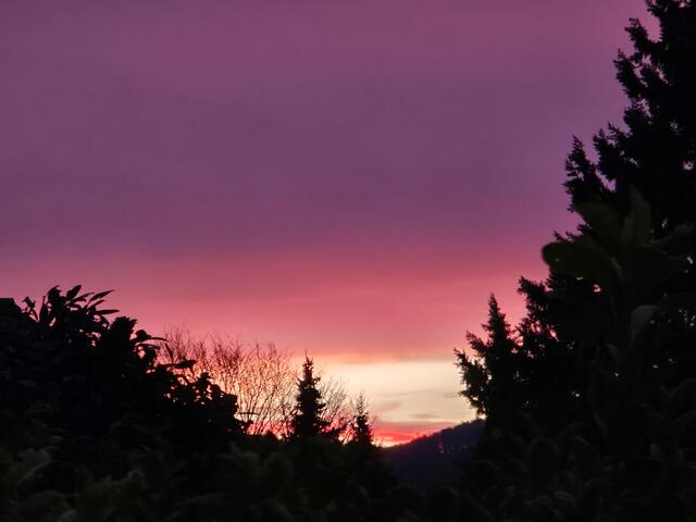 Foto: Heidrun Rosenberger