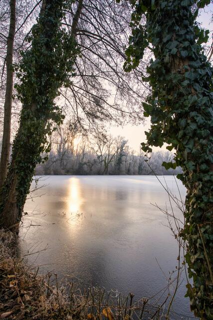Foto: Ulrich Seidel