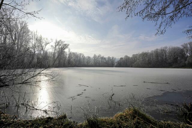Foto: Ulrich Seidel