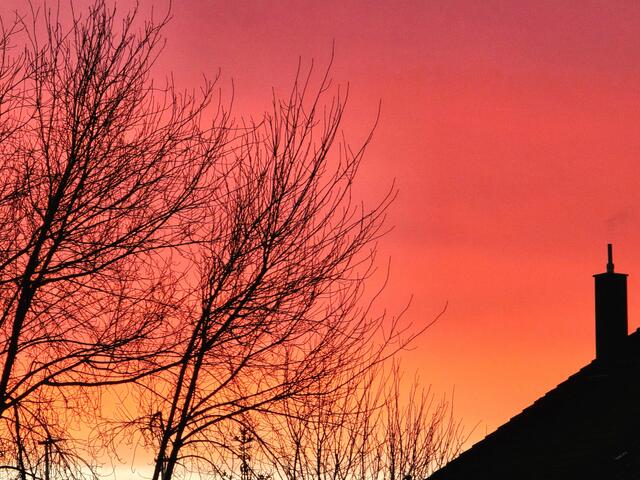 Foto: Heidrun Rosenberger