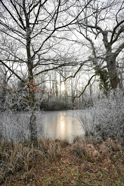 Foto: Ulrich Seidel