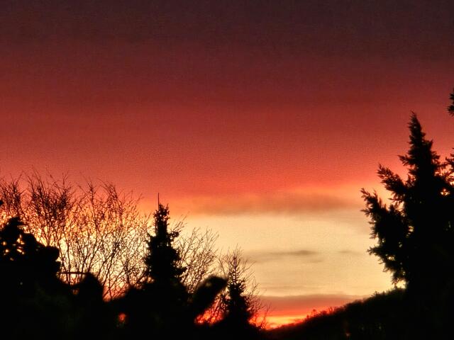 Foto: Heidrun Rosenberger