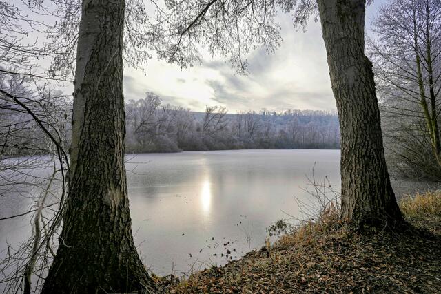 Foto: Ulrich Seidel