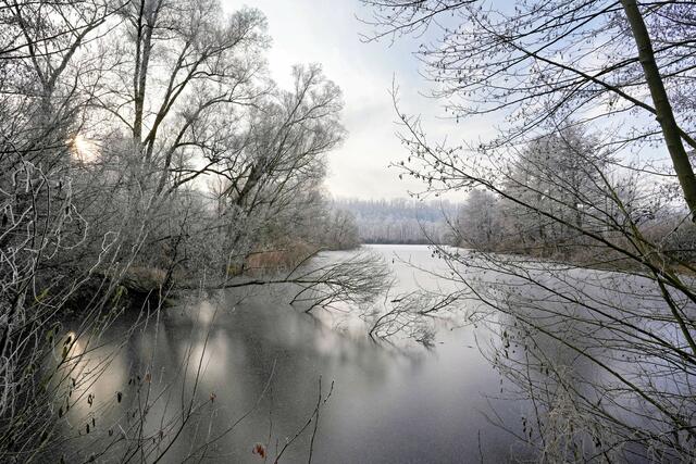 Foto: Ulrich Seidel